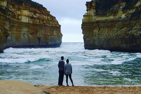 Melbourne Combo: Great Ocean Road, Puffing Billy, Moonlit Sanctuary & Penguins - Attractions Perth 6