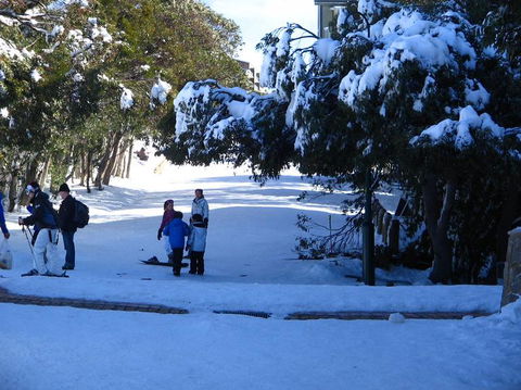 Mt. Buller Ski Tour From Melbourne - Attractions Perth 18