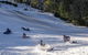 Mt. Buller Ski Tour From Melbourne - thumb 1