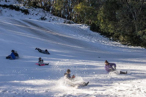 Mt. Buller Ski Tour From Melbourne - Attractions Perth 1