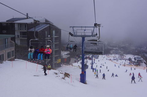 Mt. Buller Ski Tour From Melbourne - Attractions Perth 3