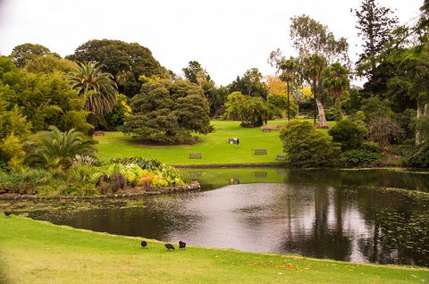 Melbourne Highlights With Brighton Beach And St Kilda Tour - Attractions Perth 1