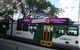 Melbourne Highlights With Brighton Beach And St Kilda Tour - thumb 8