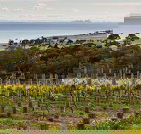 Bellarine Peninsula Small Group Wine Tour with 2 Course Lunch and Morning Tea - Attractions Perth