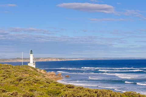 Bellarine Peninsula Small Group Wine Tour With 2 Course Lunch And Morning Tea - Attractions Perth 3