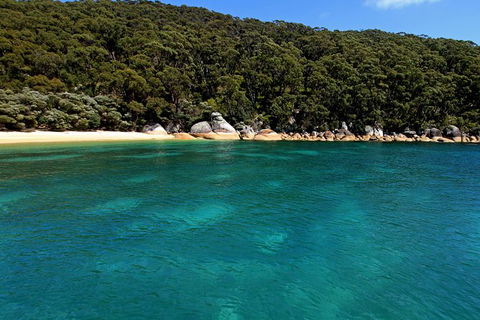 Wilsons Promontory Full Day Cruise - Attractions Perth 5