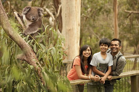 Private Phillip Island Penguin Parade Tour - Attractions Perth 5