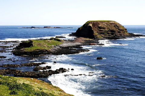 Private Phillip Island Penguin Parade Tour - Attractions Perth 3