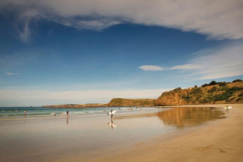 Private Phillip Island Penguin Parade Tour - Attractions Perth 4