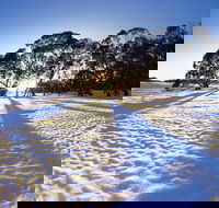 Private Lake Mountain Snow Tour from Melbourne - Attractions Perth