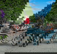 Melbourne Horse Drawn Carriage Extended Garden Tour - Attractions Perth
