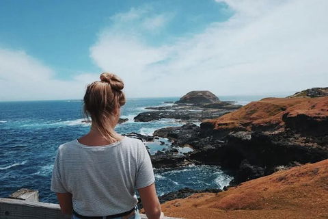 Small Group - Phillip Island Hike & Penguin Parade Day Tour From Melbourne - Attractions Perth 3