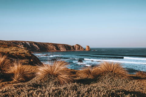 Small Group - Phillip Island Hike & Penguin Parade Day Tour From Melbourne - Attractions Perth 10
