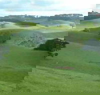 Day Tour of Phillip Island  Surrounding Region - Attractions Perth