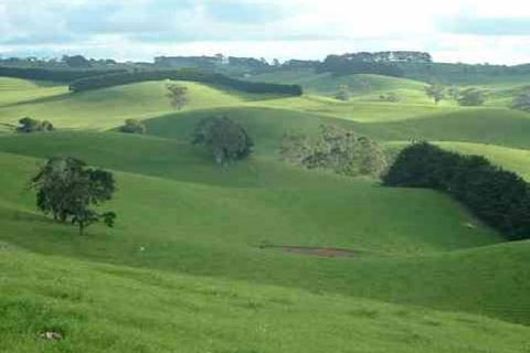 Day Tour Of Phillip Island & Surrounding Region - Attractions Perth 0