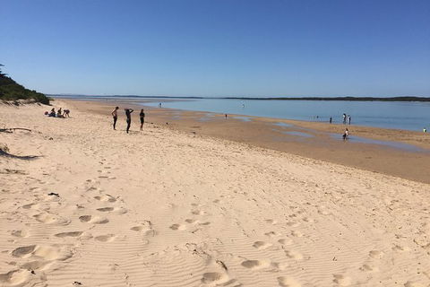Day Tour Of Phillip Island & Surrounding Region - Attractions Perth 8