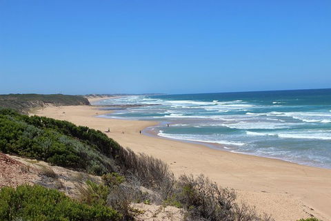 Day Tour Of Phillip Island & Surrounding Region - Attractions Perth 1