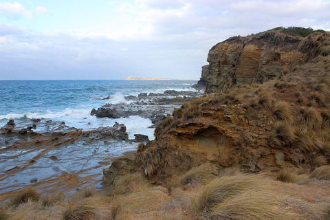 Day Tour Of Phillip Island & Surrounding Region - Attractions Perth 11