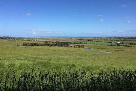 Day Tour Of Phillip Island & Surrounding Region - Attractions Perth 4