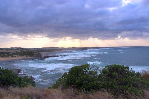 Day Tour Of Phillip Island & Surrounding Region - Attractions Perth 12