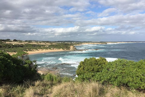 Day Tour Of Phillip Island & Surrounding Region - Attractions Perth 10