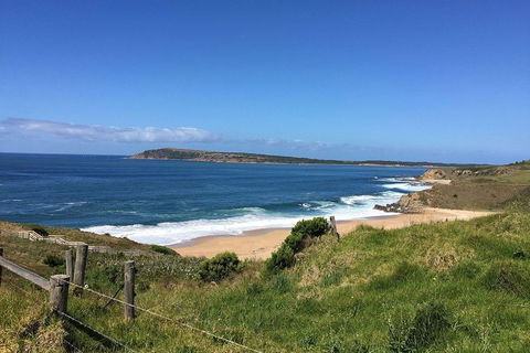 Day Tour Of Phillip Island & Surrounding Region - Attractions Perth 5