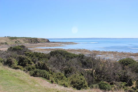 Day Tour Of Phillip Island & Surrounding Region - Attractions Perth 2