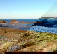 Phillip Island Walking  Bird Watching Tour - Attractions Perth
