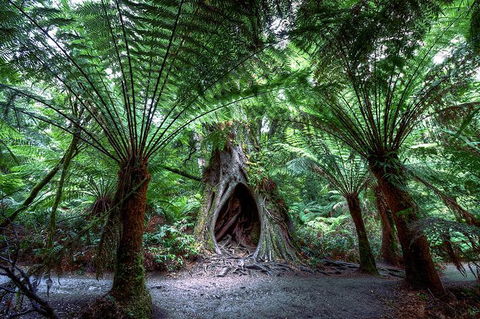 2-Day Melbourne To Adelaide Tour: Great Ocean Road And Grampians One Way Trip - Attractions Perth 10