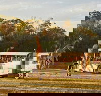 Sunset Safari at Werribee Open Range Zoo - Attractions Perth