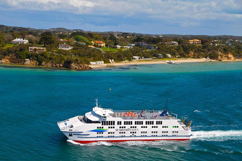 Great Ocean Road Reverse Itinerary And Phillip Island 2 Day Wildlife Encounter - Attractions Perth 15