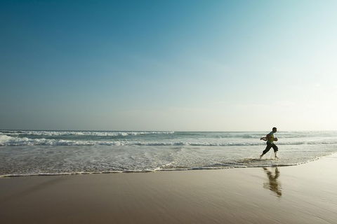 Great Ocean Road Reverse Itinerary And Phillip Island 2 Day Wildlife Encounter - Attractions Perth 3