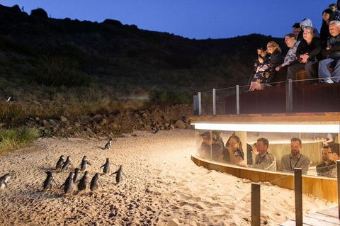Great Ocean Road Reverse Itinerary And Phillip Island 2 Day Wildlife Encounter - Attractions Perth 9