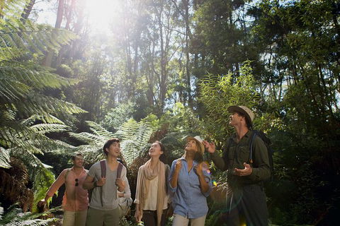 Great Ocean Road Reverse Itinerary And Phillip Island 2 Day Wildlife Encounter - Attractions Perth 13