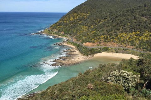 Great Ocean Road Reverse Itinerary And Phillip Island 2 Day Wildlife Encounter - Attractions Perth 5