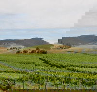 Private Tour to Mount Dandenong and Yarra Valley - Attractions Perth