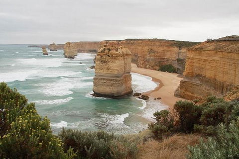 Melbourne Sightseeing Tour With Phillip Island Penguins And Great Ocean Road - Attractions Perth 5