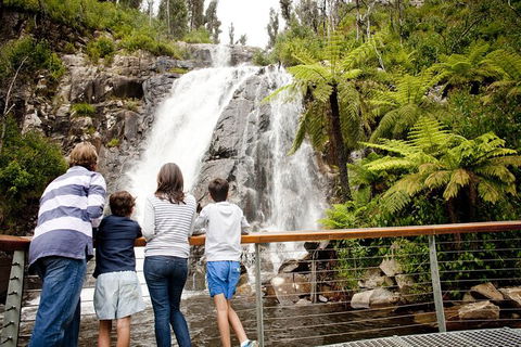 Lake Mountain Snow Trip Including Yarra Valley Chocolaterie From Melbourne - Attractions Perth 8