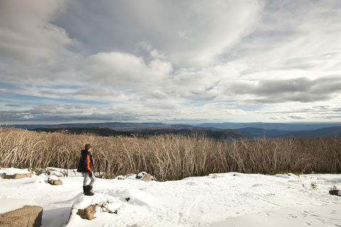 Lake Mountain Snow Trip Including Yarra Valley Chocolaterie From Melbourne - Attractions Perth 5