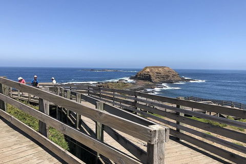 Day Tour Of Phillip Island, The Surrounding Region And Wine Tasting - Attractions Perth 14