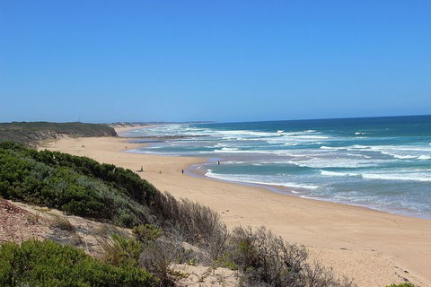 Day Tour Of Phillip Island, The Surrounding Region And Wine Tasting - Attractions Perth 5