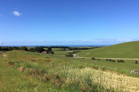 Day Tour Of Phillip Island, The Surrounding Region And Wine Tasting - Attractions Perth 6