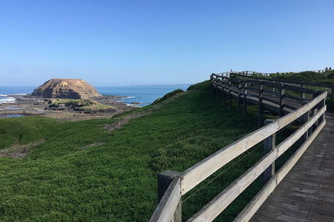 Day Tour Of Phillip Island, The Surrounding Region And Wine Tasting - Attractions Perth 11