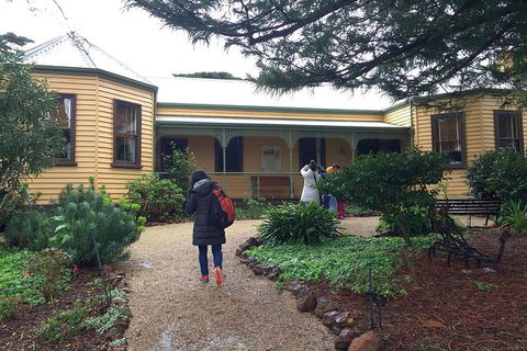 Day Tour Of Phillip Island, The Surrounding Region And Wine Tasting - Attractions Perth 12