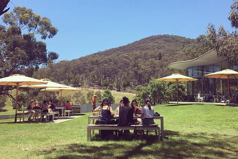 CHEVY CONVERTIBLE Package For 2 People- Wine Lunch Cheese & Chocolate From Melb. - Attractions Perth 6