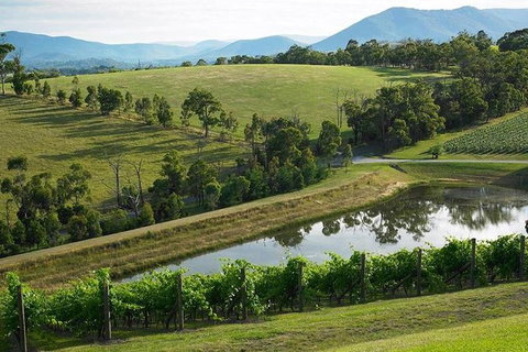 CHEVY CONVERTIBLE Package For 2 People- Wine Lunch Cheese & Chocolate From Melb. - Attractions Perth 9