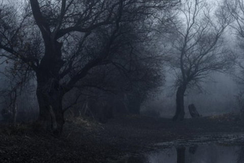 Eynesbury Homestead Dinner And Ghost Tour - Attractions Perth 1