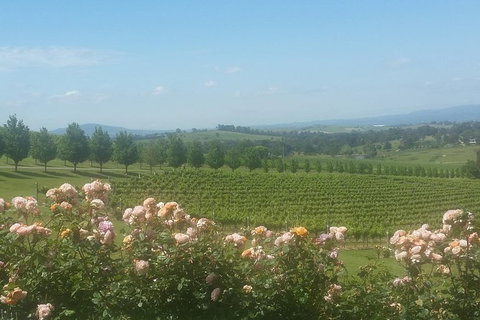 Ultimate Mornington Peninsula Food And Wine Small Group Tour - Attractions Perth 0