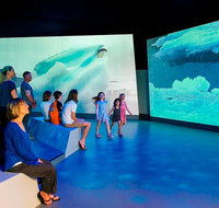 Phillip Island Antarctic Journey Entry ticket - Attractions Perth
