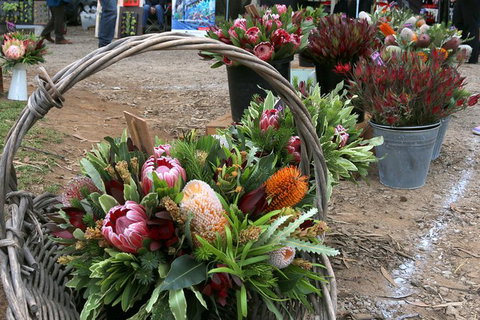 Mornington Peninsula Markets Shuttle By Boat From Phillip Island - Attractions Perth 1
